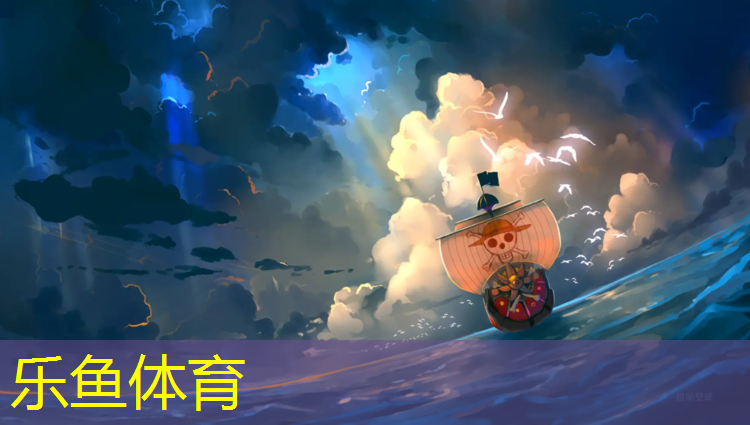 乐鱼体育,皮革海绵体操垫怎么用